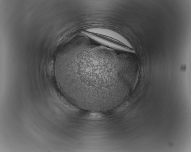 X0000113630376200910021857