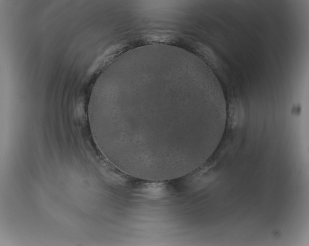 X0000113630377200910021857