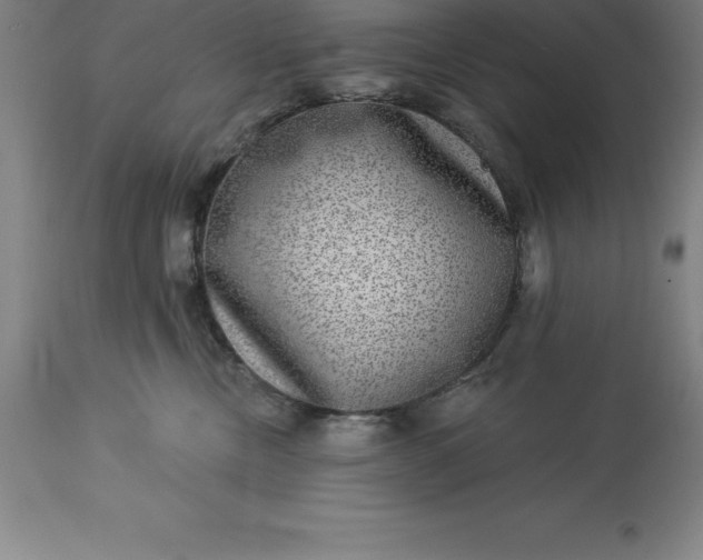 X0000113630378200910021857