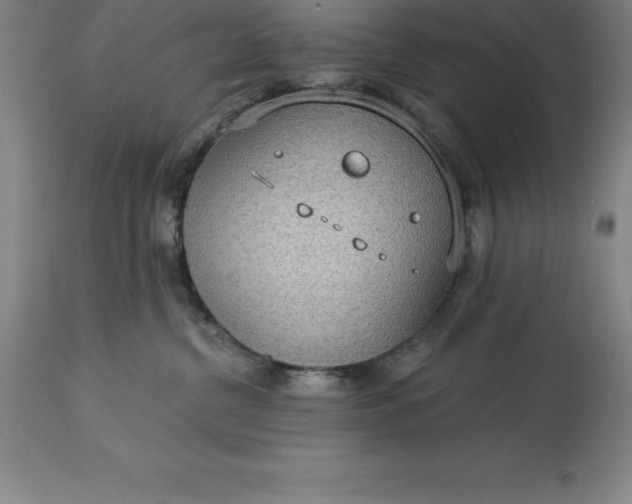 X0000113630380200910021857