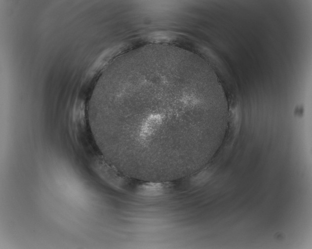 X0000113630381200910021857