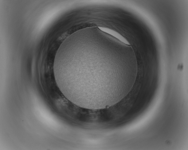 X0000113630382200910021857