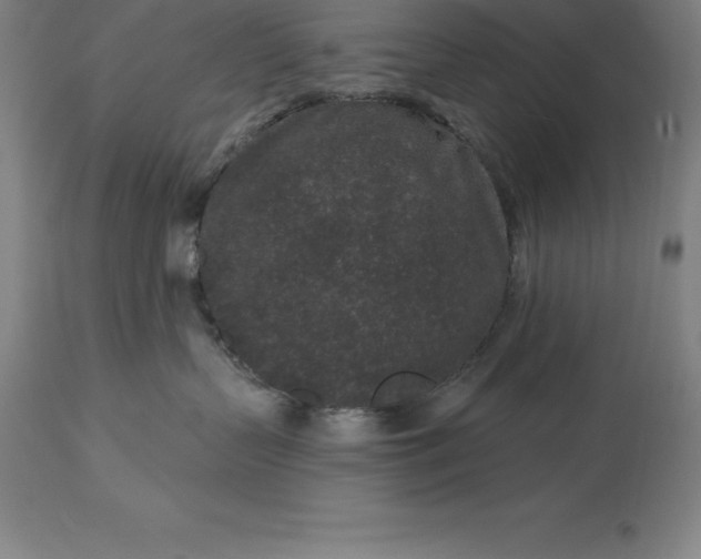 X0000113630383200910021857
