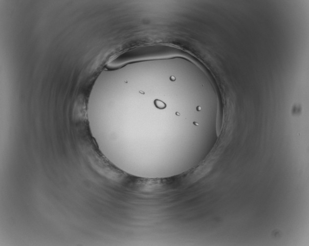 X0000113630384200910021857