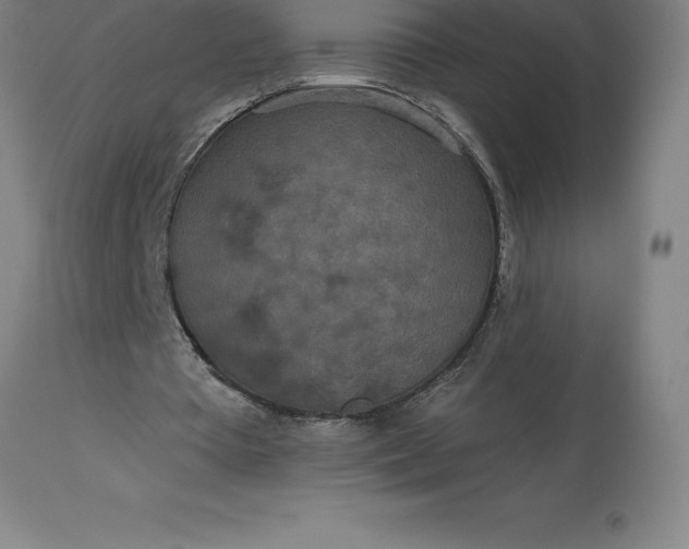 X0000113630385200910021857