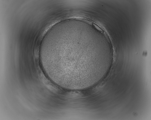 X0000113630386200910021857