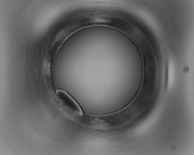 X0000113630387200910021857