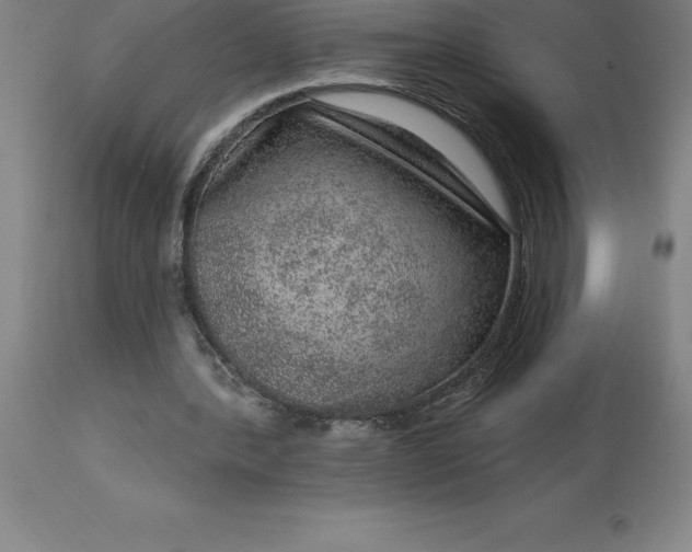 X0000113630388200910021857