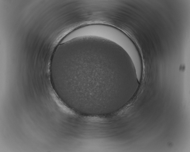X0000113630389200910021857