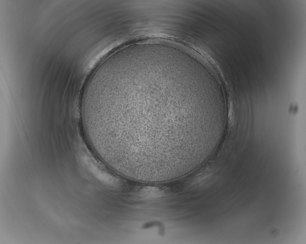 X0000113630390200910021857