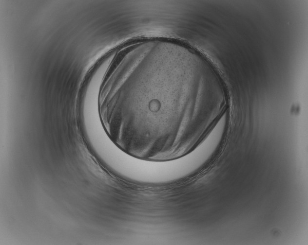 X0000113630391200910021857