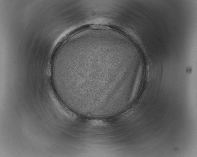 X0000113630392200910021857