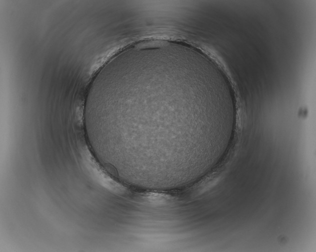 X0000113630393200910021857