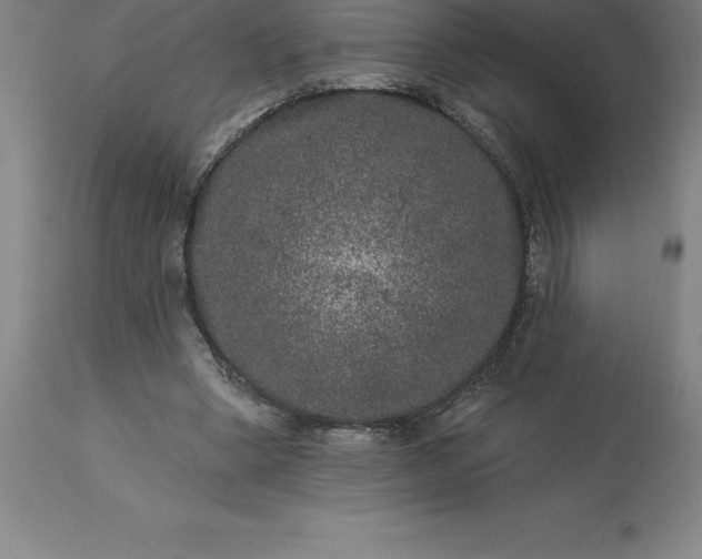 X0000113630394200910021857