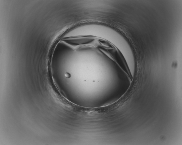 X0000113630395200910021856