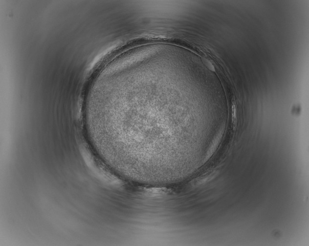 X0000113630396200910021856