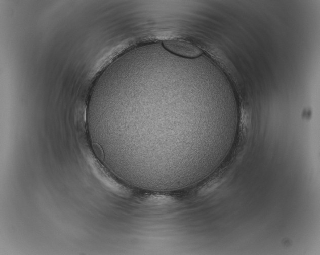 X0000113630397200910021856