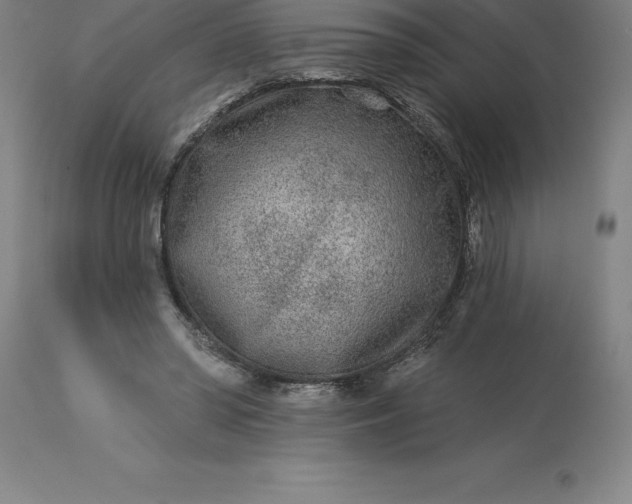 X0000113630398200910021856