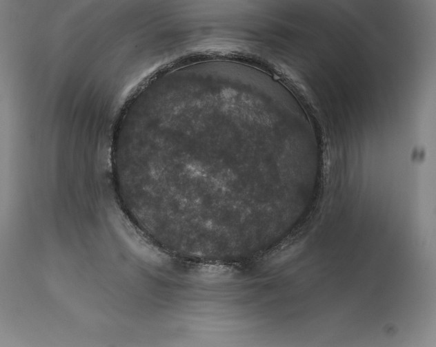 X0000113630399200910021856