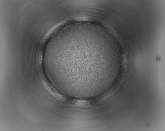 X0000113630400200910021856