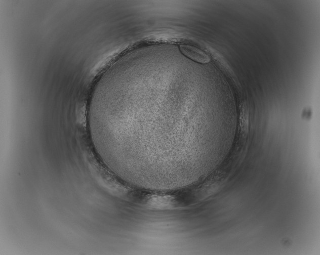 X0000113630403200910021856