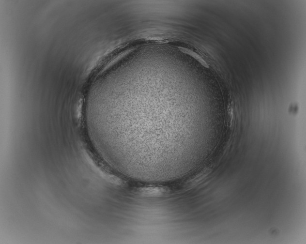 X0000113630404200910021856