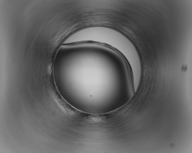 X0000113630405200910021856