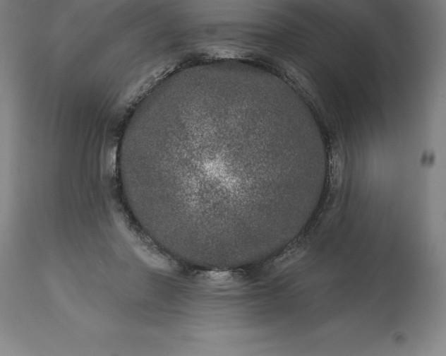 X0000113630406200910021856