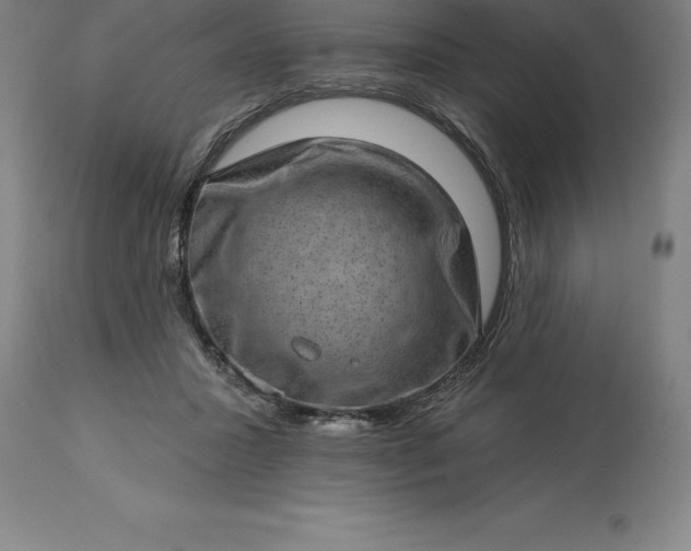 X0000113630407200910021856