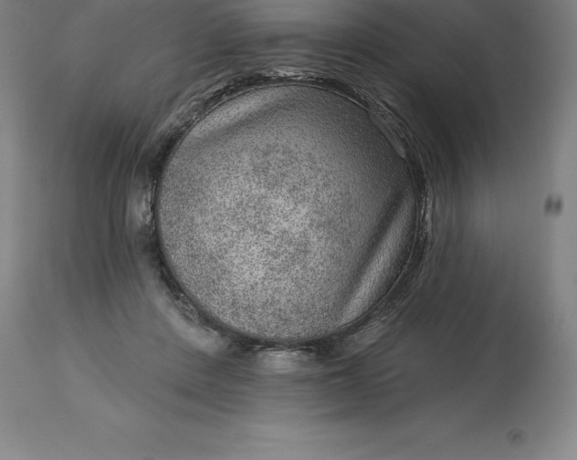 X0000113630408200910021856