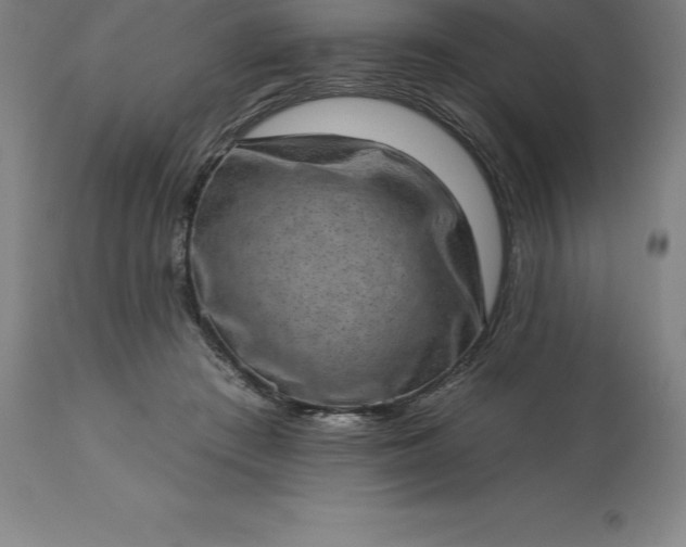 X0000113630409200910021856