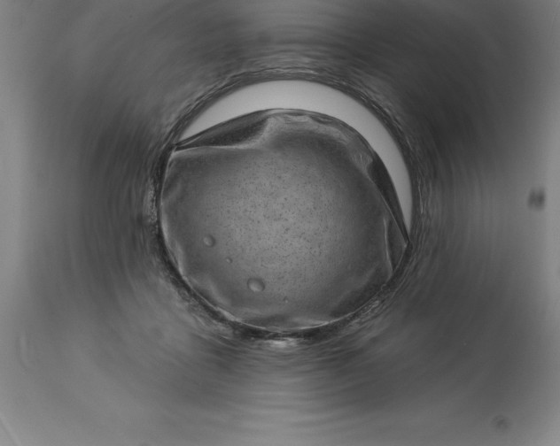 X0000113630411200910021856