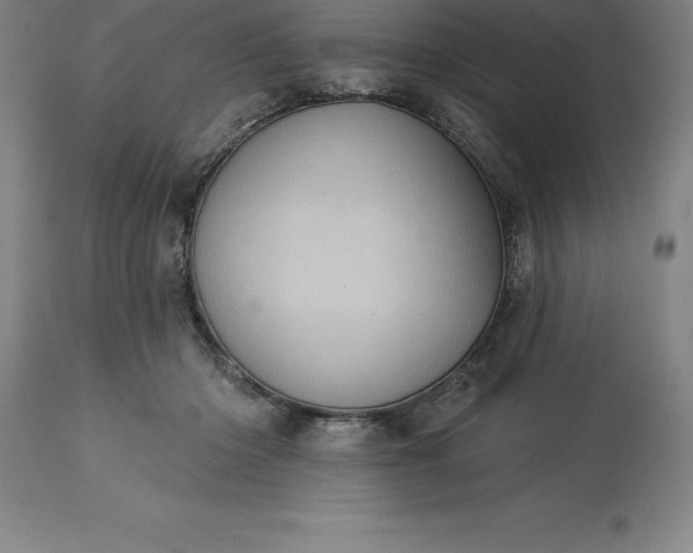 X0000113630414200910021856