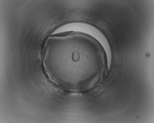 X0000113630415200910021856