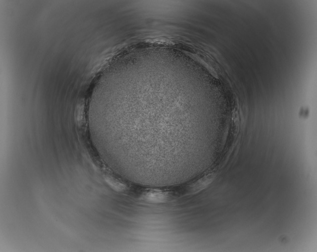 X0000113630416200910021856