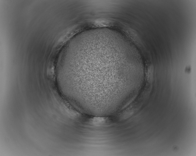 X0000113630418200910021856