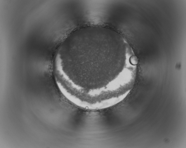 X0000113630419200910021856