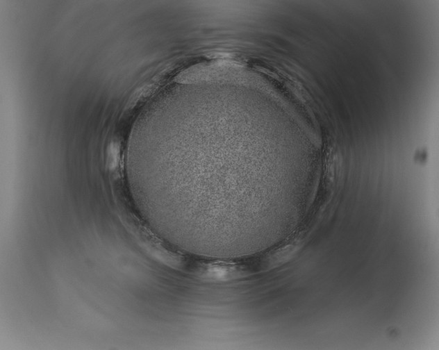 X0000113630420200910021856