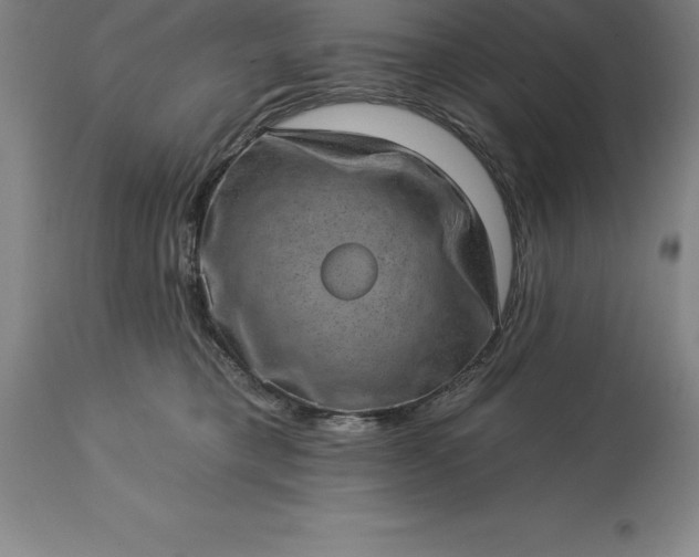 X0000113630421200910021856