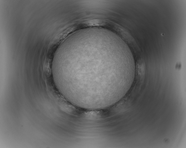 X0000113630422200910021856