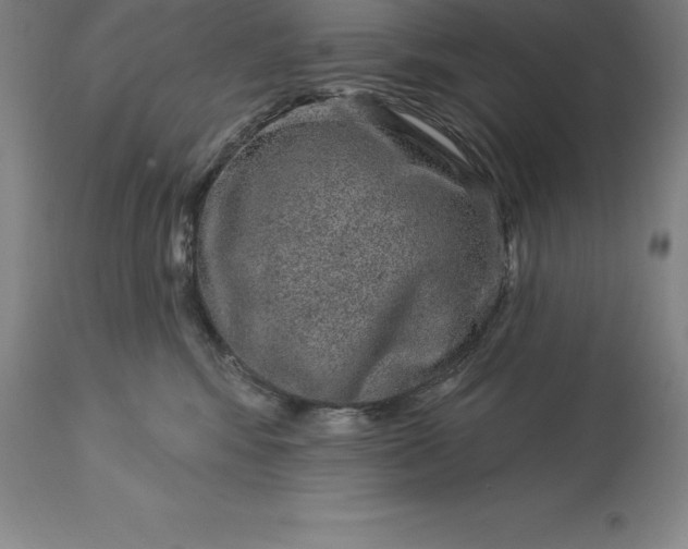 X0000113630424200910021856