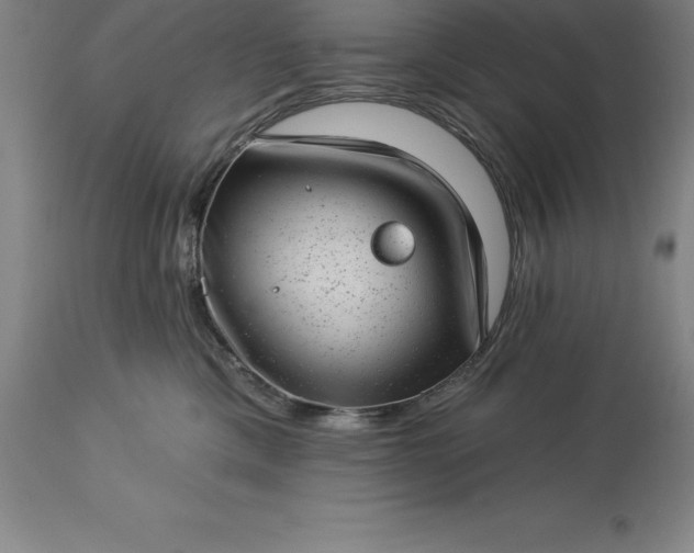 X0000113630425200910021856