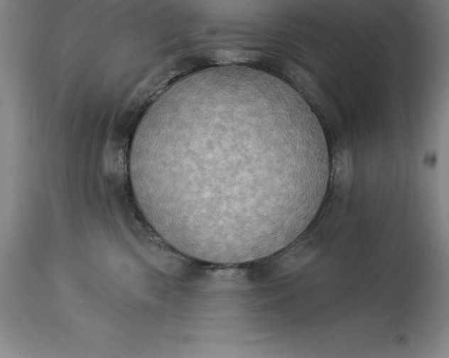 X0000113630426200910021856
