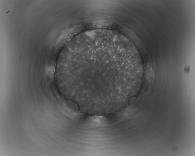 X0000113630427200910021856