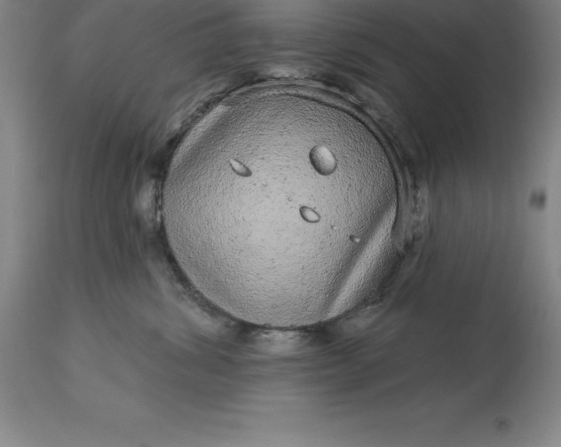 X0000113630428200910021856