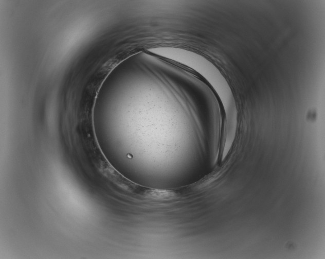 X0000113630429200910021856