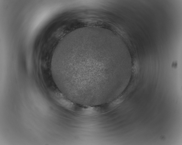 X0000113630430200910021856