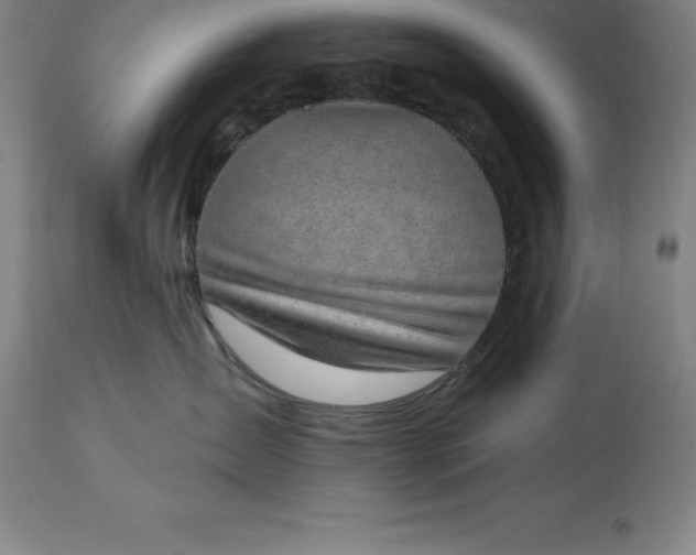 X0000113630431200910021856