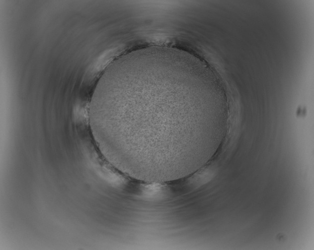 X0000113630432200910021856