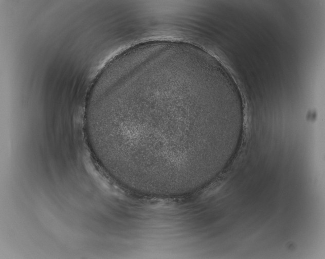 X0000113630434200910021855